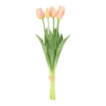 shape2you-countryfield-tulpen-set-van-5-stelen-roze-wit