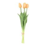 shape2you-countryfield-tulpen-set-van-5-stelen-zalm