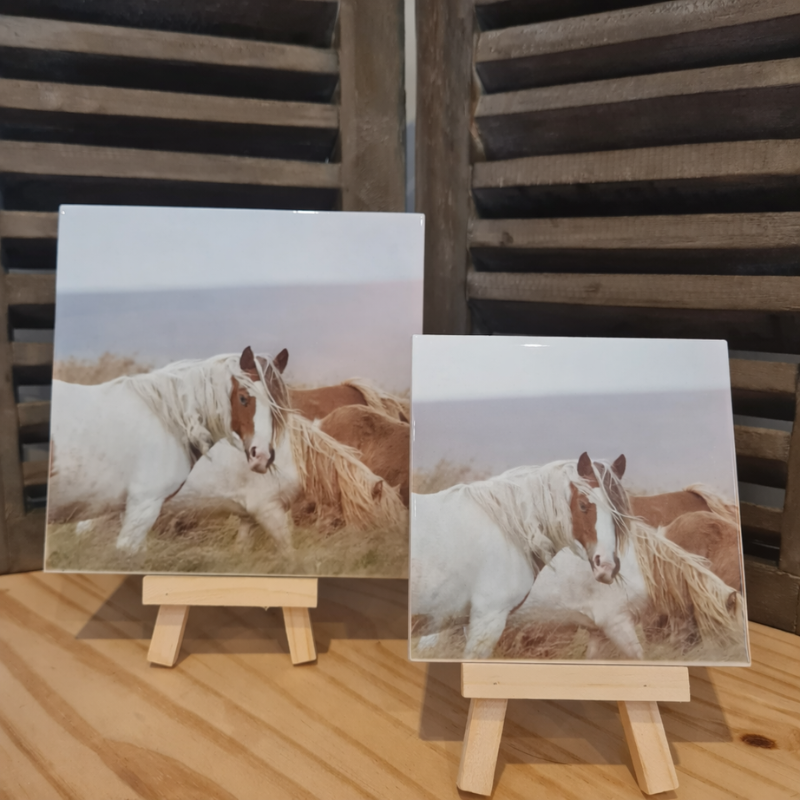 tegeltje bedrukken met foto 10x10 of 15x15 cm mat of glans