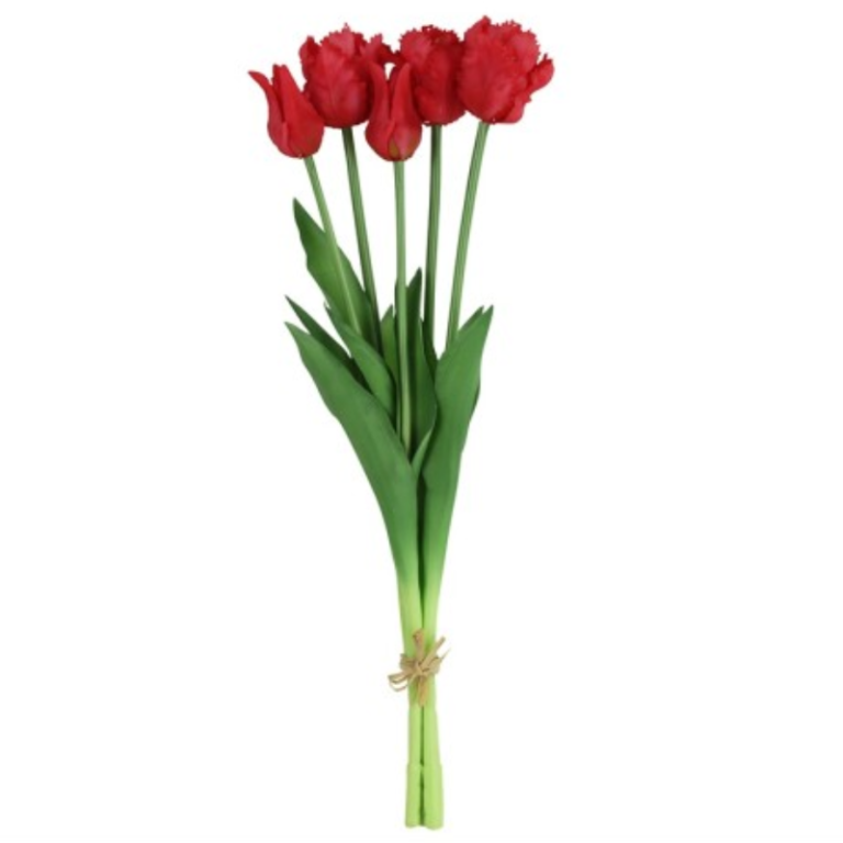 Countryfield parkiettulpen boeket | set van 5 stelen fuchsia