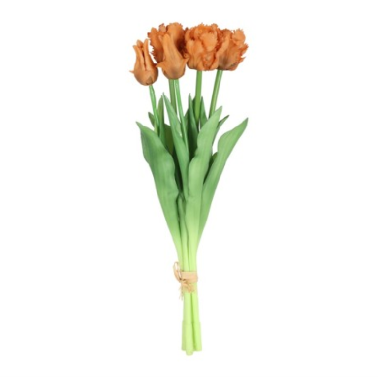 Countryfield parkiettulpen boeket | set van 5 stelen oranje