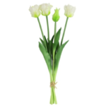 Countryfield parkiettulpen boeket | set van 5 stelen wit