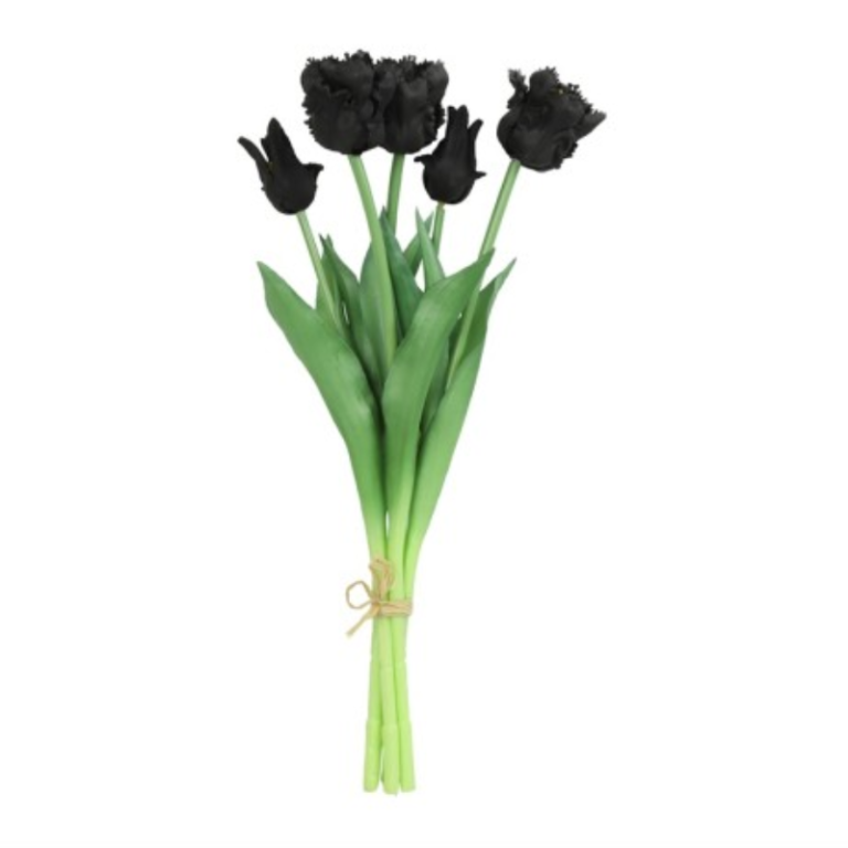 Countryfield parkiettulpen boeket | set van 5 stelen zwart