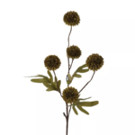 shape2you-pompom-tak-52cm-groen